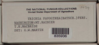 Image Associated With the Occurence